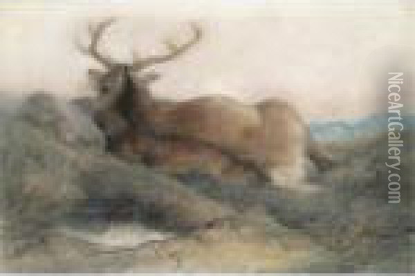 A Stag At Tarbet Oil Painting - Landseer, Sir Edwin