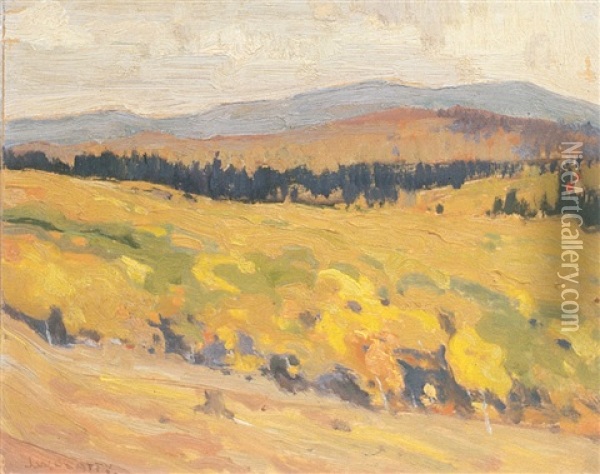 Hills, Canoe Lake, Algonquin Park Oil Painting - John William Beatty
