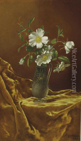 Cherokee Roses In A Glass Vase Oil Painting - Martin Johnson Heade