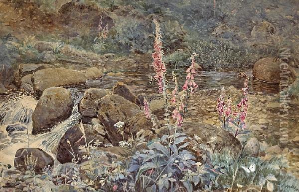 Fox Gloves By A Summer Stream Oil Painting - Joseph Poole Addey