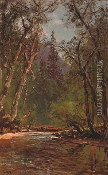 Wooded Glen Oil Painting - Thomas Hill