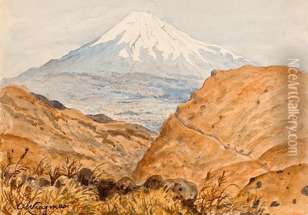 Views Of Japan Oil Painting - Charles A., Wirgman Jnr.