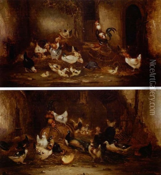 Barnyard Fowl (pair) Oil Painting - Claude Guilleminet