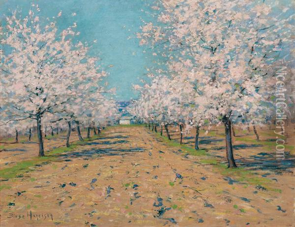 Apple Blossoms Oil Painting - Lowell Birge Harrison