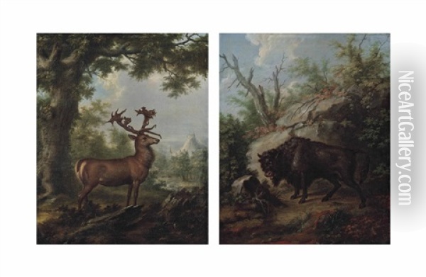 A Stag In A Wooded Landscape (+ A Musk Ox In A Wooded Landscape; Pair) Oil Painting - Georg Adam Eger