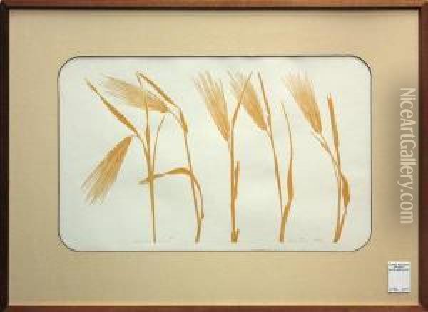 'wheat Oil Painting - Frederick Henry Evans