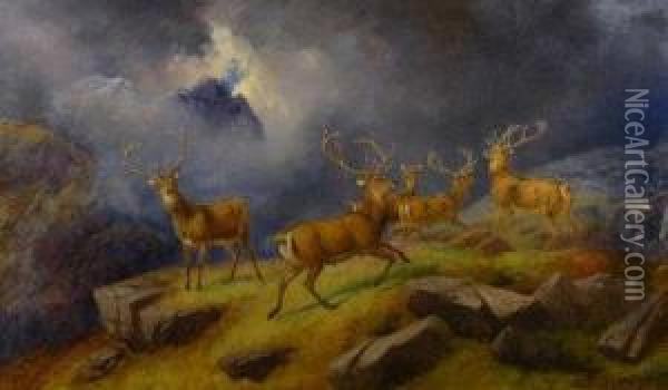 Red Deer In The Highlands Oil Painting - Robert Henry Roe