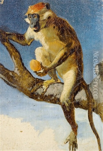 Ein Affe, Naturstudie Oil Painting - Hans Canon