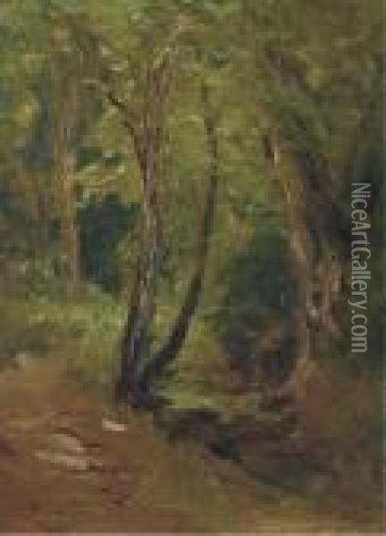 Woodland Path Oil Painting - Sarah Henrietta Purser