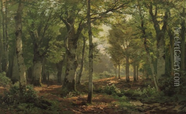 Sonnige Waldlichtung Oil Painting - Heinrich Boehmer