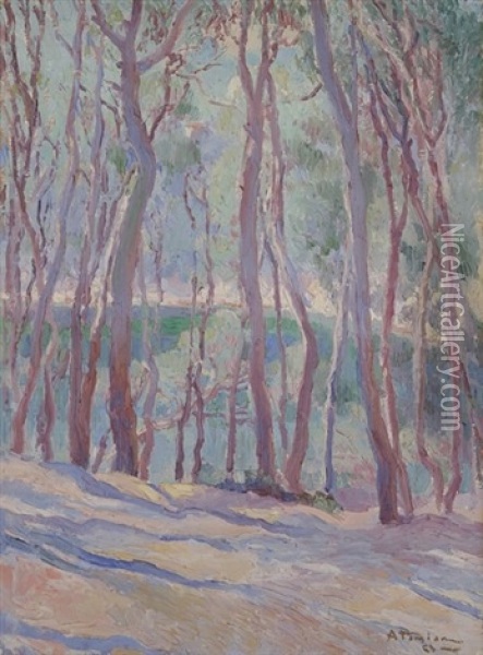 Sous-bois Oil Painting - Charles Garabed Atamian