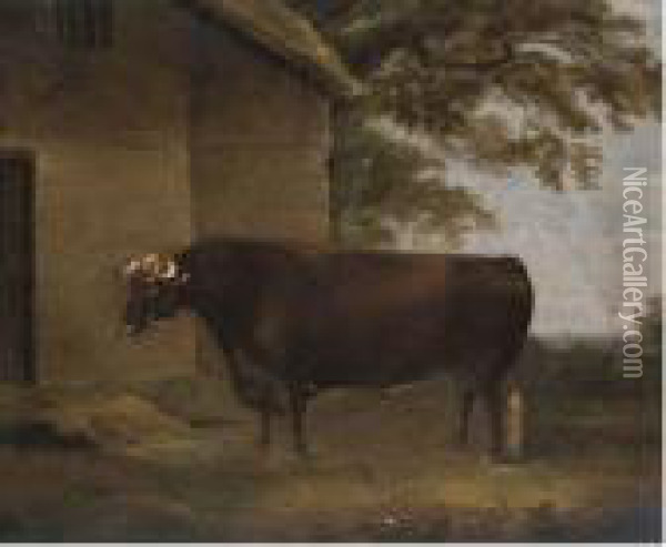 Prizefighter Bull Oil Painting - Thomas Weaver