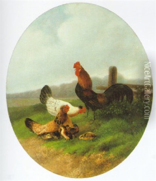 Hahn Mit Seinen Hennen Oil Painting - August Knip