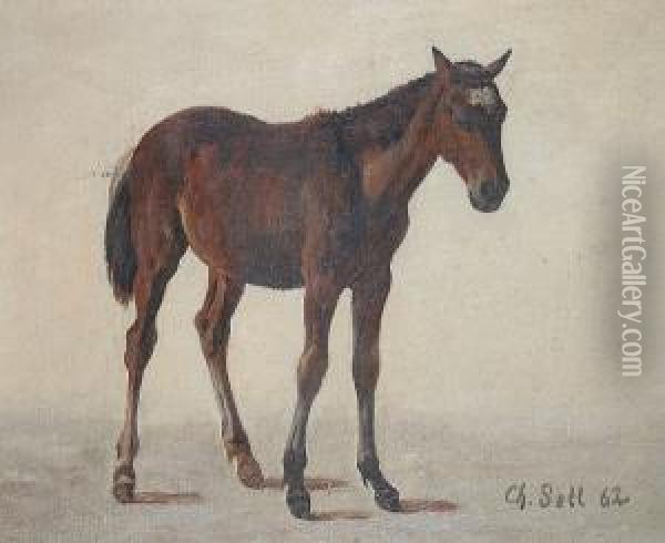 Study Of A Horse Oil Painting - Christian I Sell