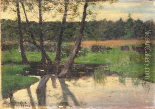 Na Mokradlach Oil Painting - Sigismund Andrychiewicz