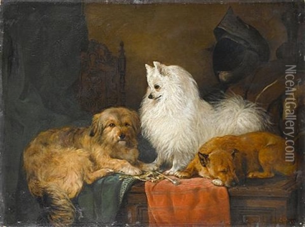 A Volpino Italiano And Other Dogs In An Interior Oil Painting - John Charlton