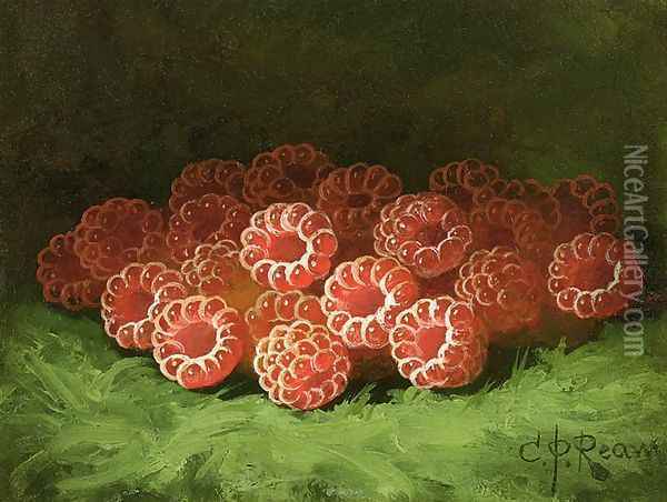 Still Life with Raspberies Oil Painting - Carducius Plantagenet Ream