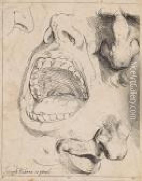 Nasen- Und Mundstudie Oil Painting - Jusepe de Ribera