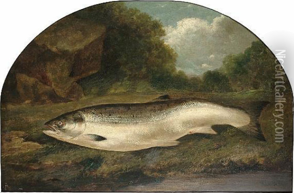 'just Caught', A Still Life Of A Salmon On A Bank Oil Painting - Henry Leonidas Rolfe