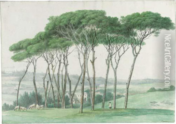 Pine Trees On A Rise At Monte Mario, Near Rome Oil Painting - Joseph Augustus Knip