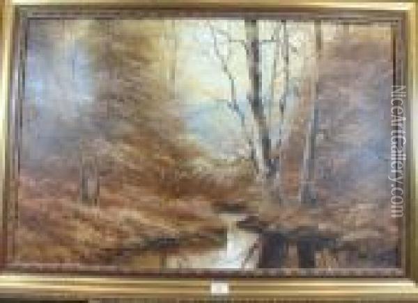 Autumn Stream Through Wood Oil Painting - David James