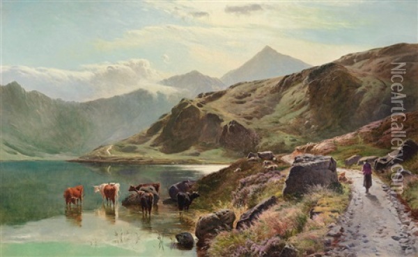 Cattle Watering Near Snowdonia Oil Painting - Sidney Richard Percy