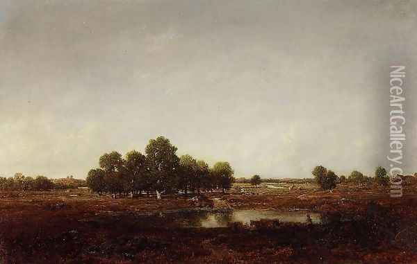 Marsh Land Oil Painting - Etienne-Pierre Theodore Rousseau