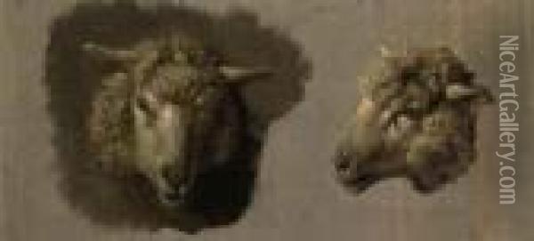 Sheep Heads Oil Painting - Anton Mauve