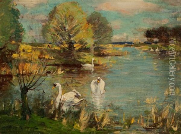 Swans On A Pond Oil Painting - David Murray