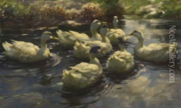 Sieben Weise Enten Im Wasser Oil Painting - Alexander Max Koester