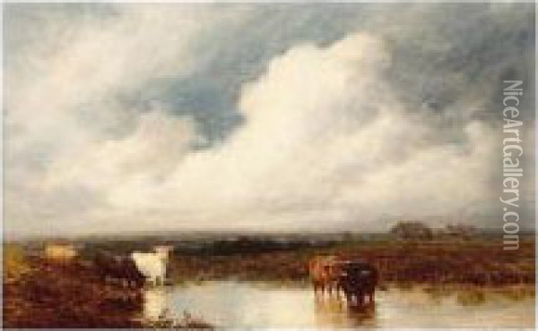 Cattle Watering Oil Painting - Edward Hargitt