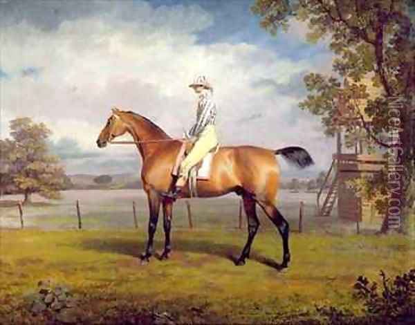 The Duke of Hamiltons Disguise with Jockey Up Oil Painting - George Garrard