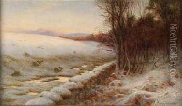 Sheep In A Snow Covered Landscape Oil Painting - Joseph Farquharson
