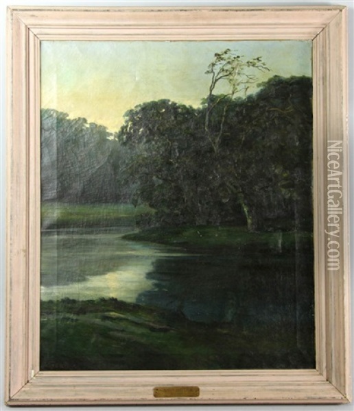 Swamp View Oil Painting - George Bellows