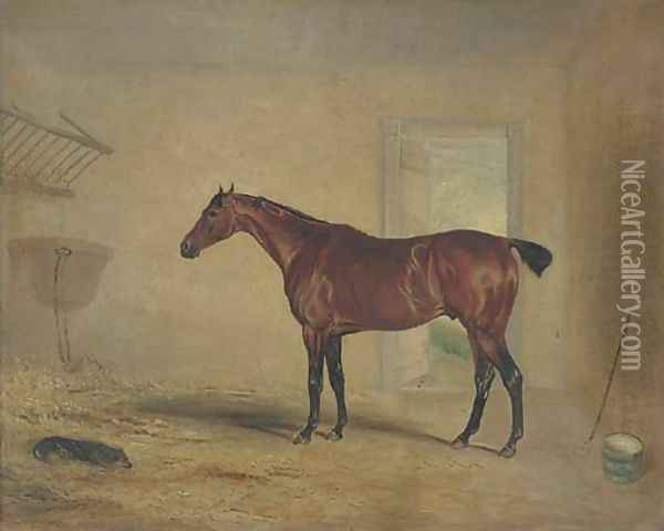 A bay hunter in a stable Oil Painting - John Snr Ferneley
