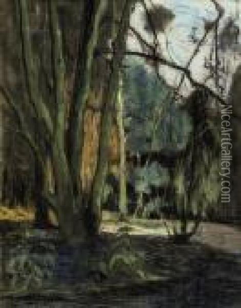 A Park Lane, Endegeest, Oegstgeest Oil Painting - Floris Verster