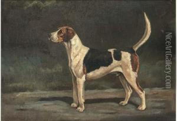 Croome Ruffian, A Hound Oil Painting - Cuthbert Bradley
