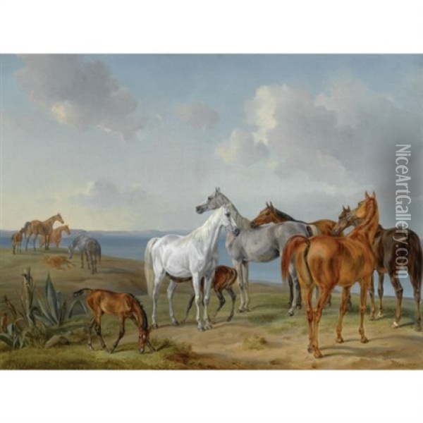 Pferde Auf Der Weide (arabian Horses At Pasture) Oil Painting - Albrecht Adam