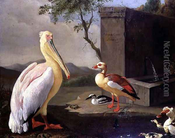 Oriental Birds Oil Painting - Adriaen Coorte