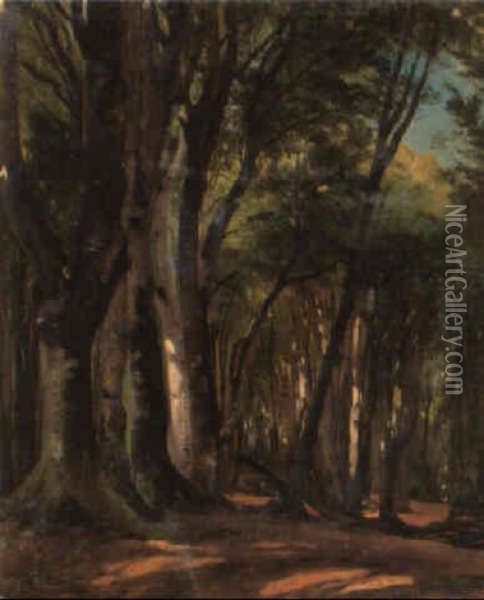 Waldlichtung Oil Painting - Carl Maria Nicolaus Hummel