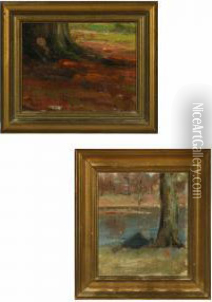 Forest Floor And Forest Lake In Dyrehaven Oil Painting - Carl Martin Soya-Jensen