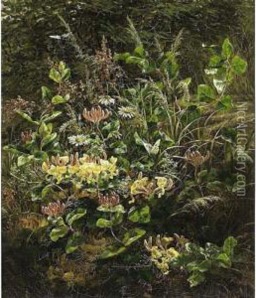 A Flower Bouquet On A Forest Floor Oil Painting - Anthonie, Anthonore Christensen