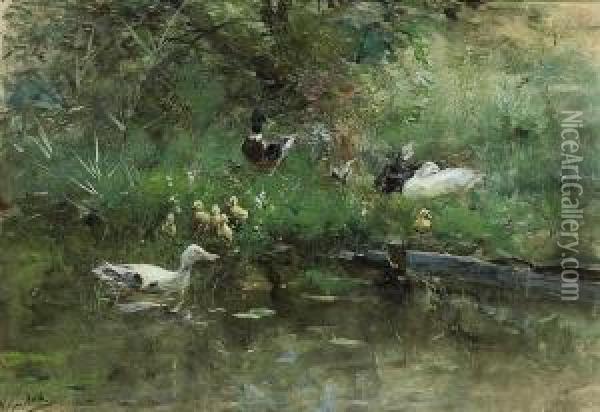 Ducks In A Meadow Oil Painting - Willem Maris