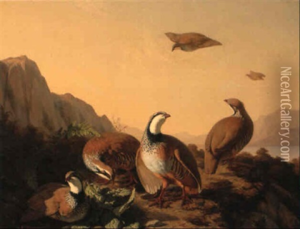 Pheasant In A Landscape Oil Painting - Simon Saint-Jean