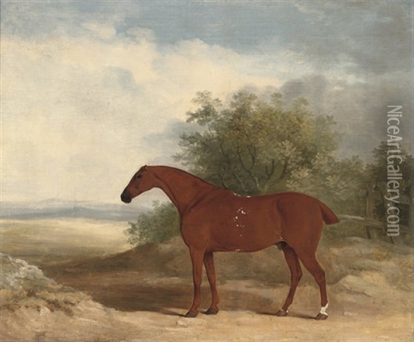 A Racehorse In A Landscape Oil Painting - James Barenger the Younger