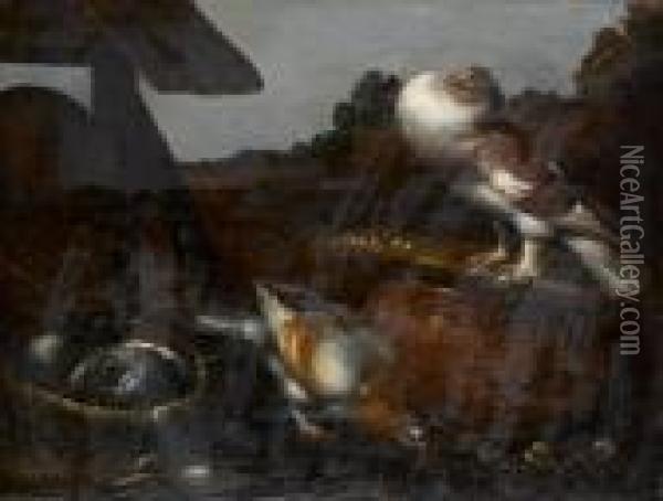 Pigeons And Other Birds In Their Nest Oil Painting - Jacomo (or Victor, Jacobus) Victors