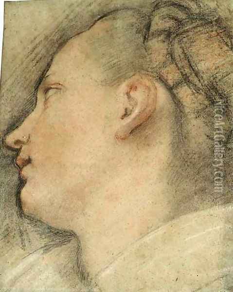 The Head Of A Young Woman, In Profile Looking Up To The Left Oil Painting - Federico Fiori Barocci