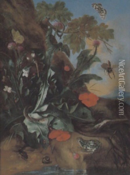 Waldesgrund Mit Distel, Frosch, Schnecke Und Insekten Oil Painting - Franz Michael Sigmund von Purgau