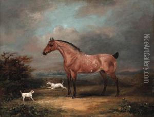 A Roan Horse And Dogs In A Landscape Oil Painting - Thomas W. Bretland