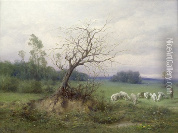 Weidende Schafe Im Vorfruhling (in Der Wachau) Oil Painting - Raimund (Ritter von Brennerstein) Wichera